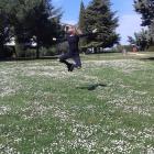 IMG_20170408_212526_889