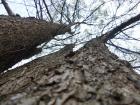 SAM_5254