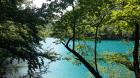 20170602_121642