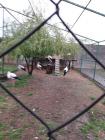 20190412_142516
